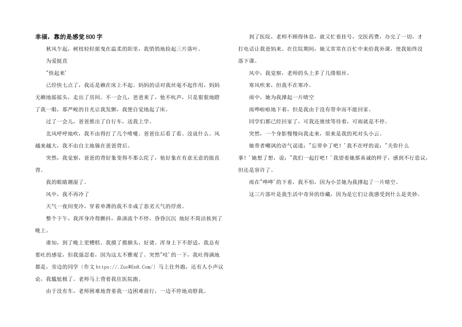 幸福，靠的是感觉800字_第1页