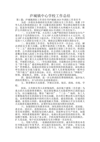 庐城镇中心学校工作总结