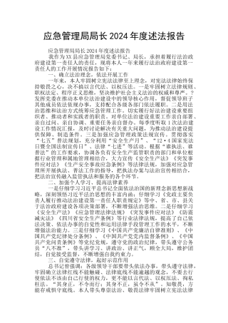 应急管理局局长2024年度述法报告