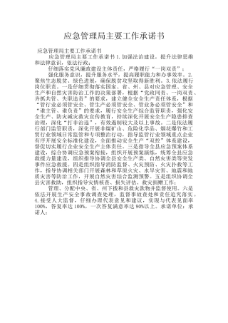 应急管理局主要工作承诺书