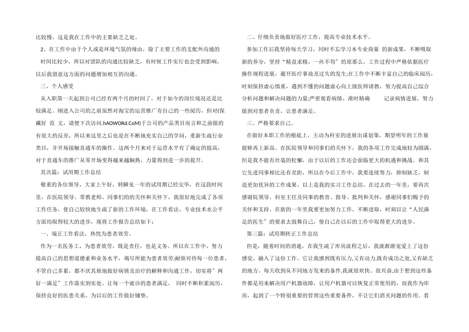 应用推广试用期工作总结_第2页