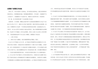 应用推广试用期工作总结