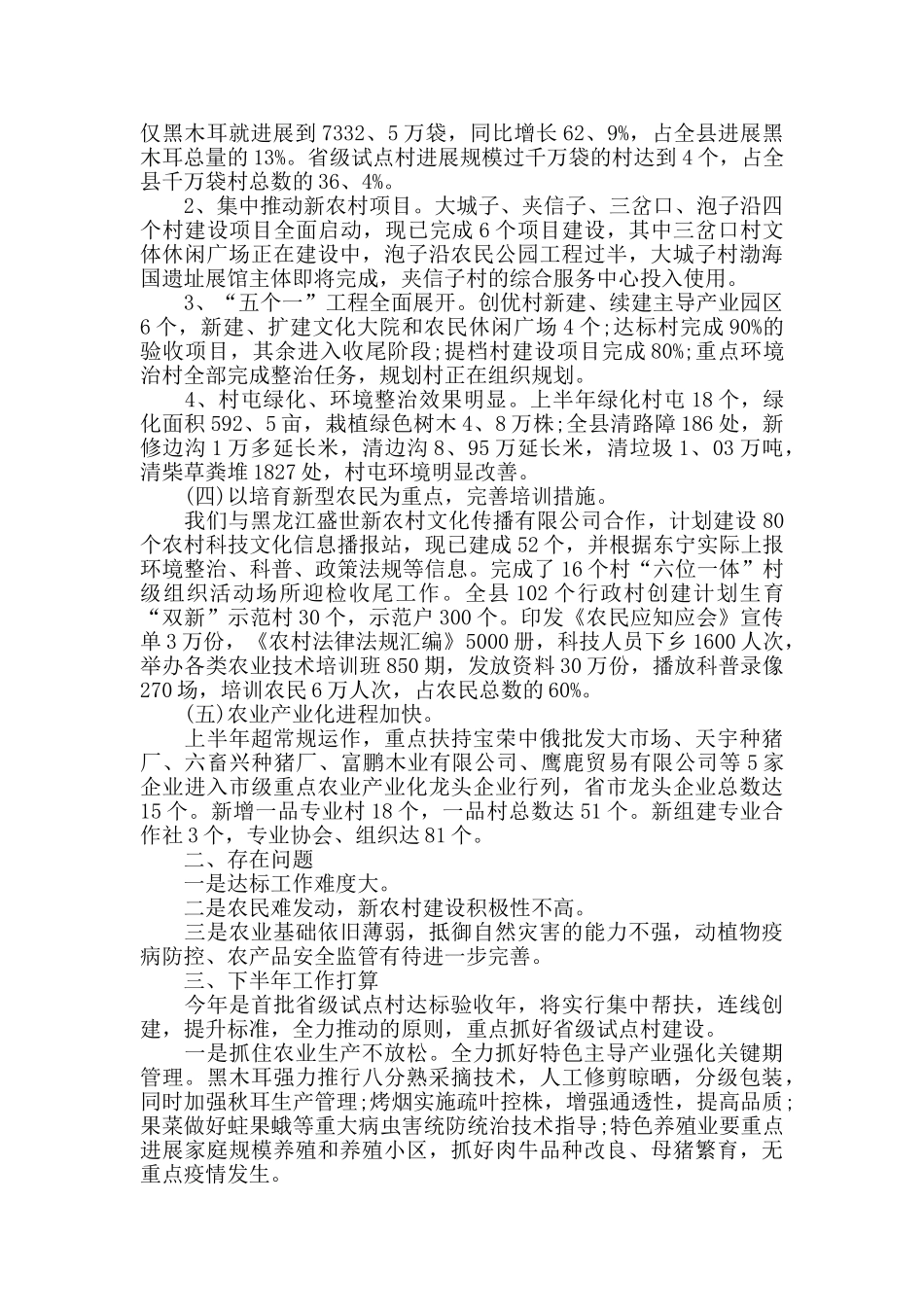 建设新农村半年工作总结_第2页