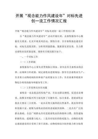 开展“观念能力作风建设年”对标先进创一流工作情况汇报