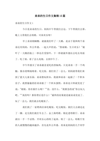 弟弟的生日作文集锦15篇