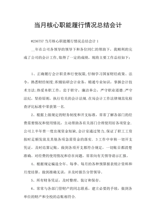 当月核心职能履行情况总结会计