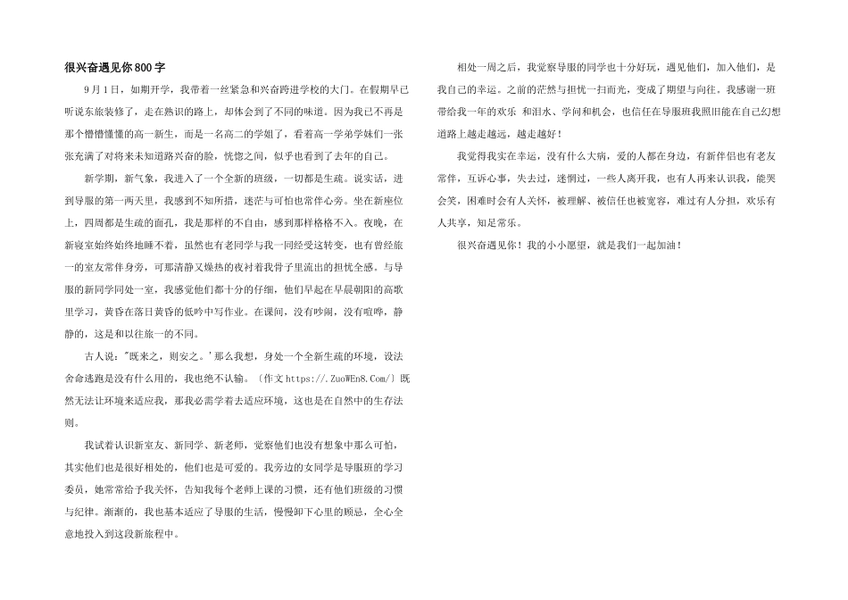 很高兴遇见你800字_第1页