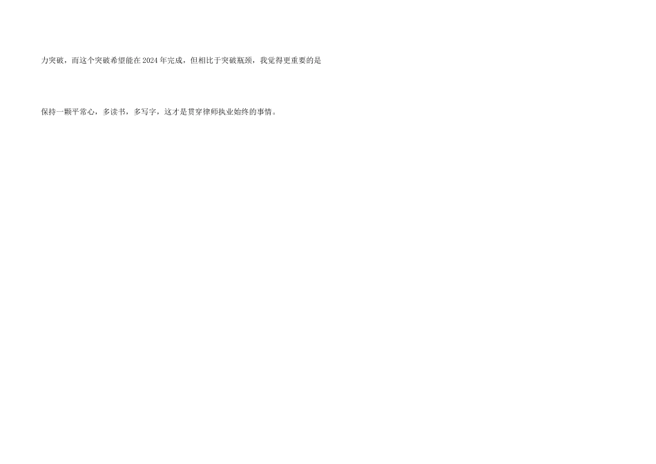 律师个人工作总结2024_第3页