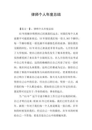 律师个人年度总结