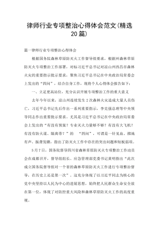 律师行业专项整治心得体会范文