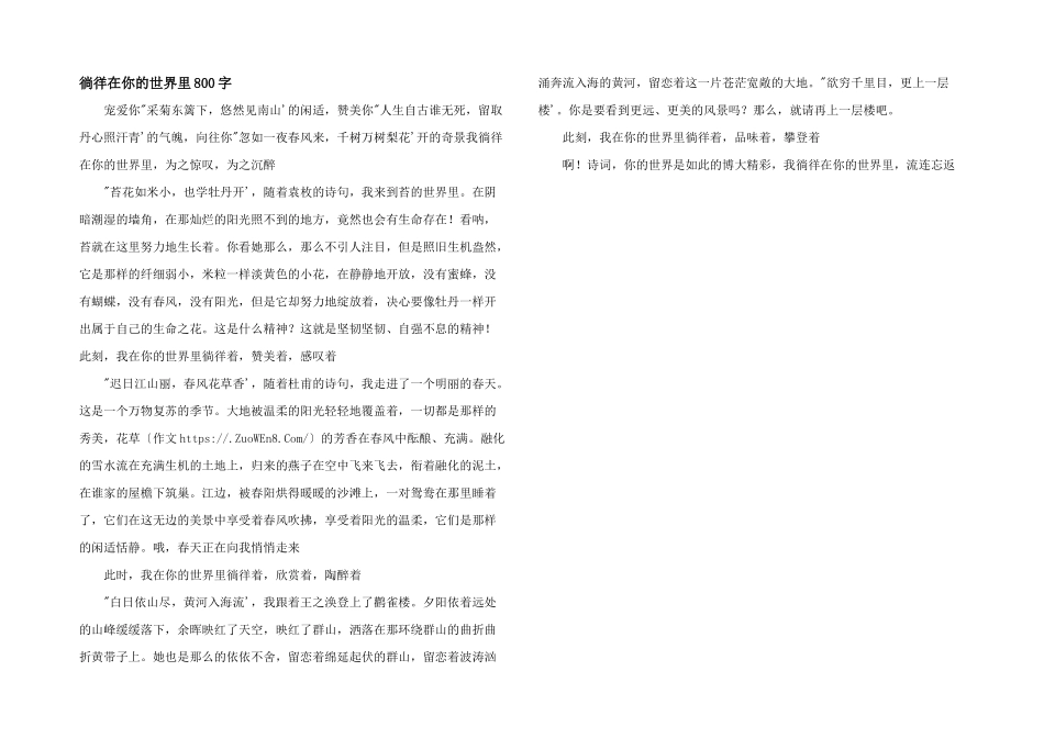 徜徉在你的世界里800字_第1页