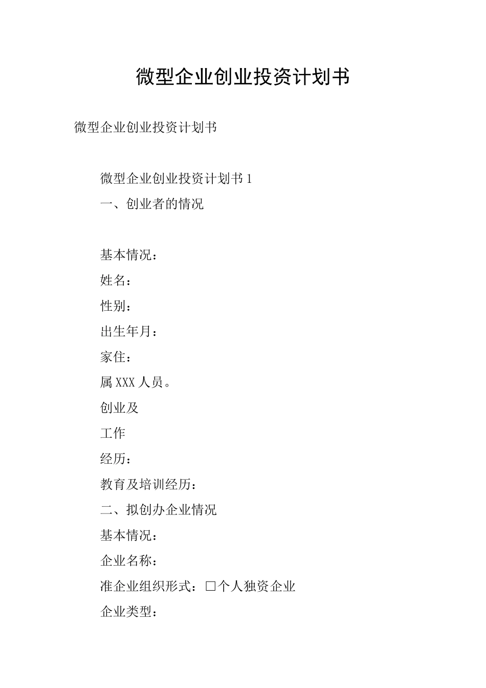 微型企业创业投资计划书_第1页