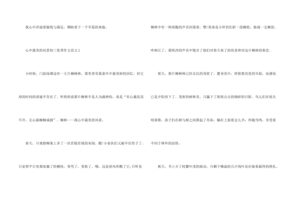 心中最美的风景初三优秀_第3页
