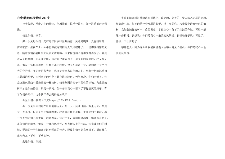 心中最美的风景线700字_第1页