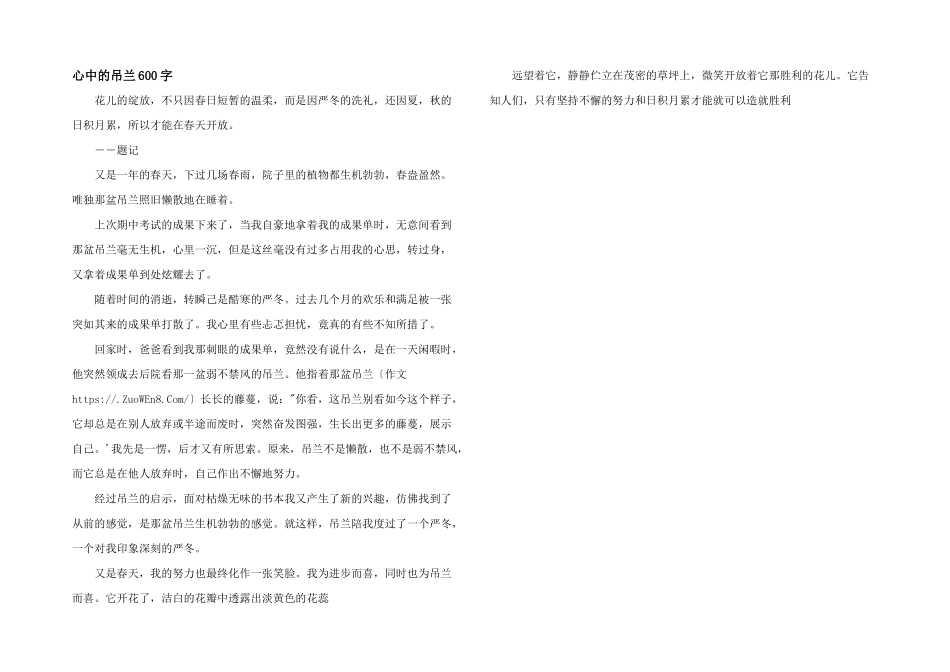 心中的吊兰600字_第1页