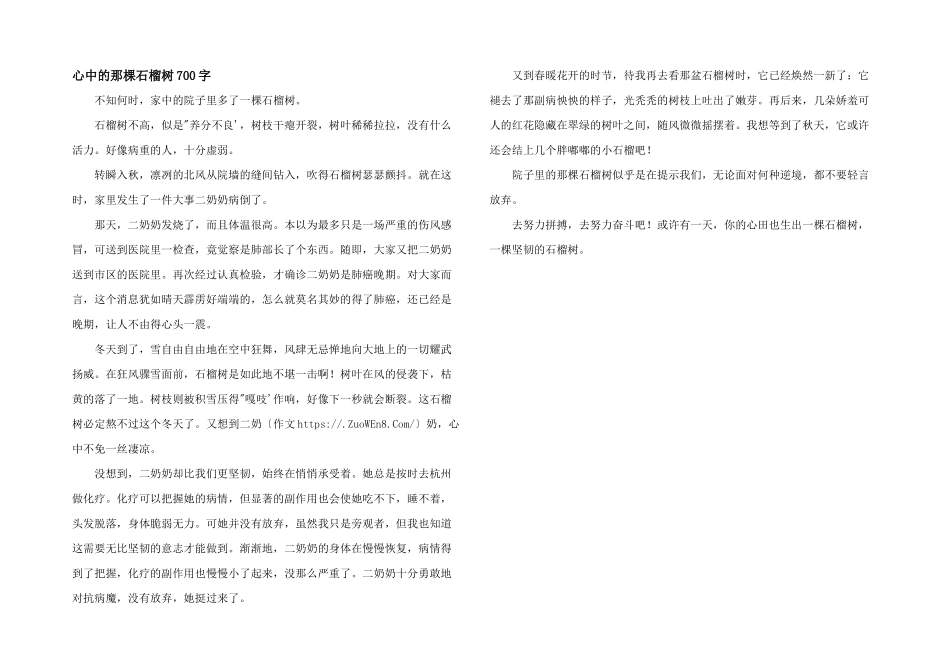 心中的那棵石榴树700字_第1页