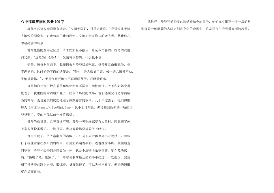 心中那道亮丽的风景700字_第1页