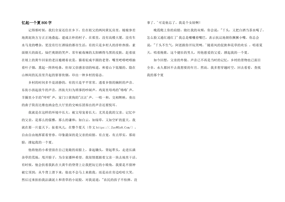 忆起一个夏800字_第1页