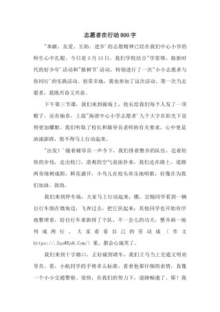 志愿者在行动800字