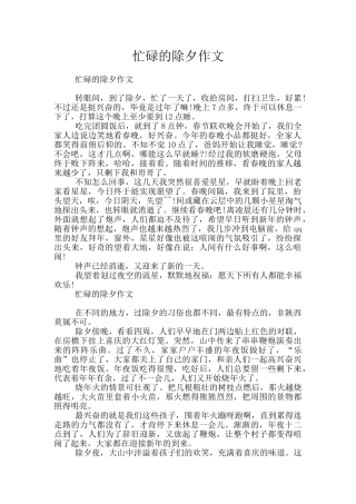 忙碌的除夕作文