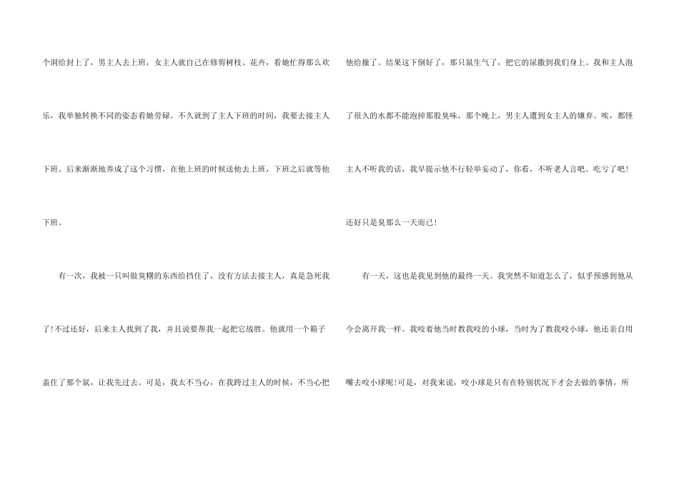 忠犬八公的故事观后感心得5篇_第3页