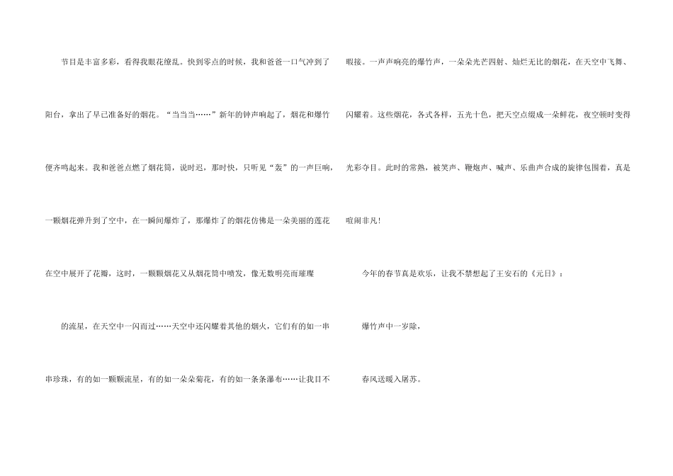 快乐的一个春节600字_第2页