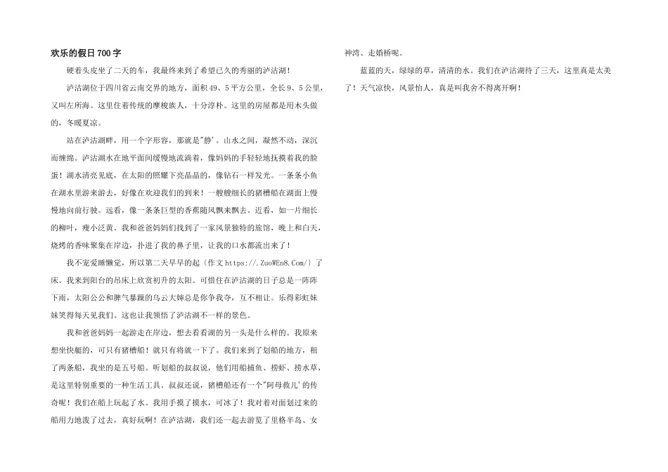 快乐的假日700字_第1页