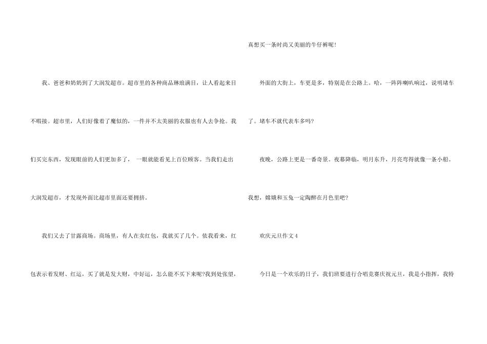 快乐的元旦10篇_第3页