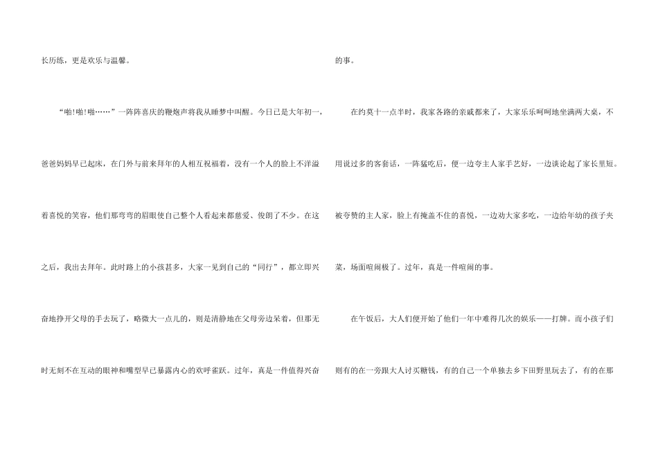 快乐的春节节日_第3页