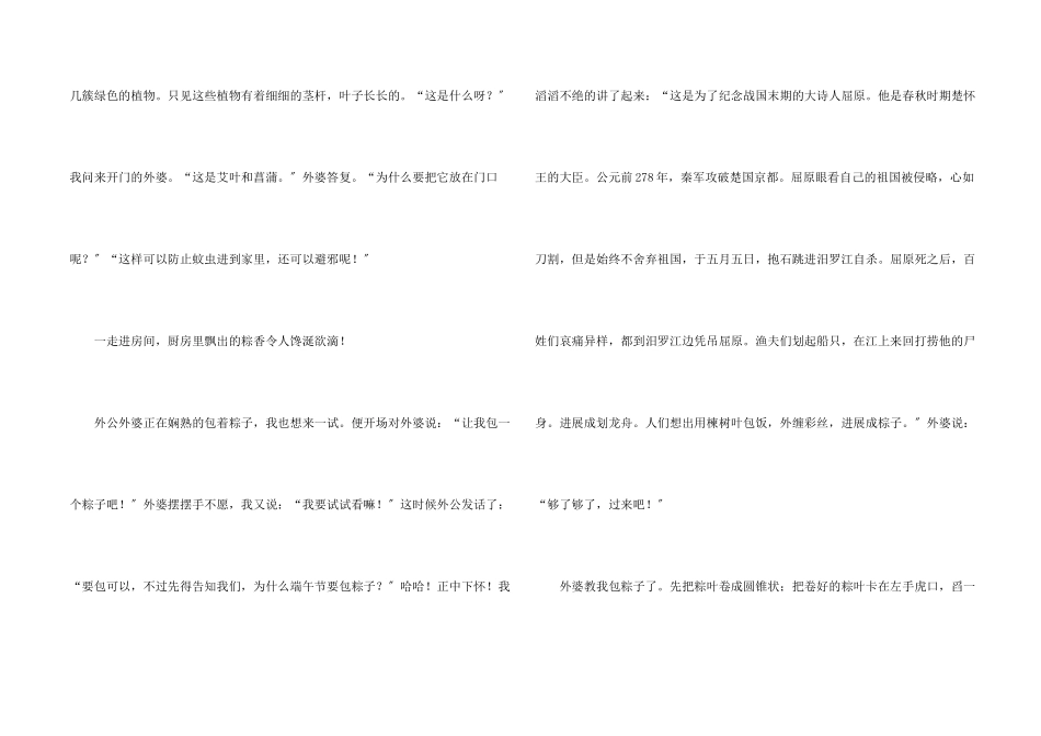 快乐的端午节_第2页