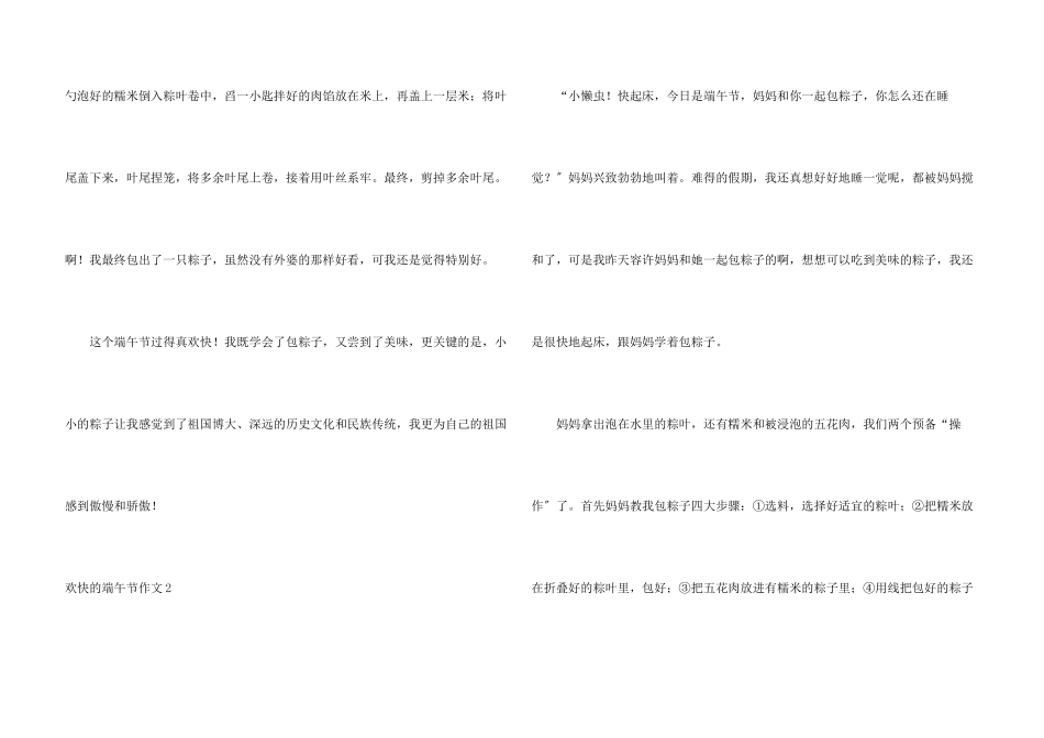 快乐的端午节_第3页