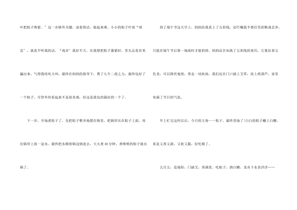 快乐的端午节500字大全5篇_第2页