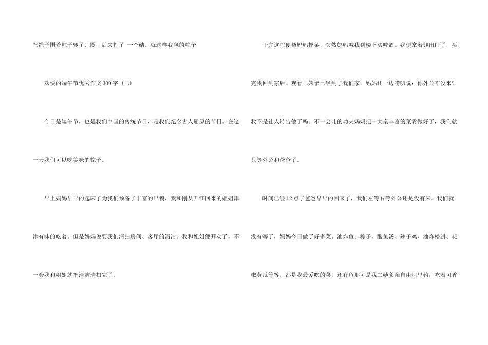快乐的端午节优秀300字5篇_第2页
