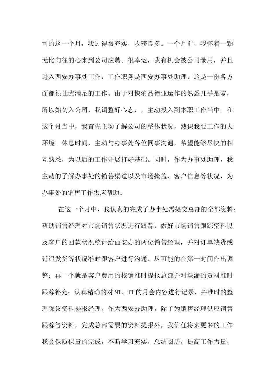 快消品销售工作总结_第3页