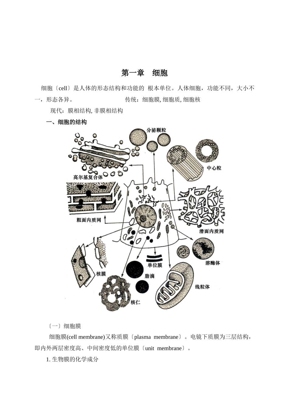 怀化医专人体解剖学与组织胚学案_第2页