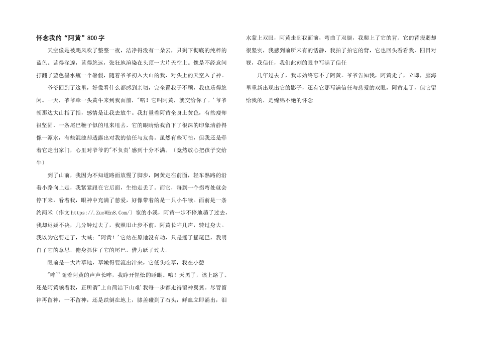 怀念我的“阿黄”800字_第1页