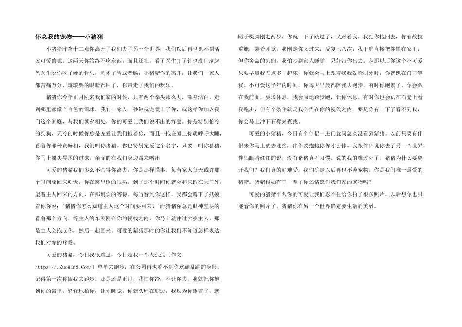 怀念我的宠物——小猪猪_第1页