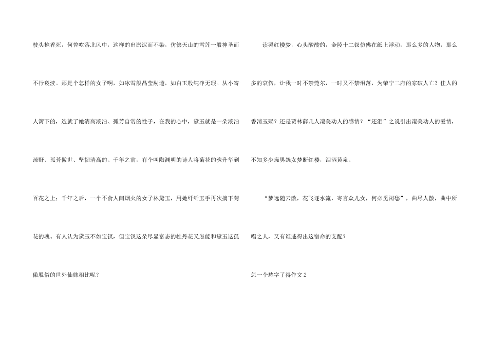 怎一个愁字了得_第2页