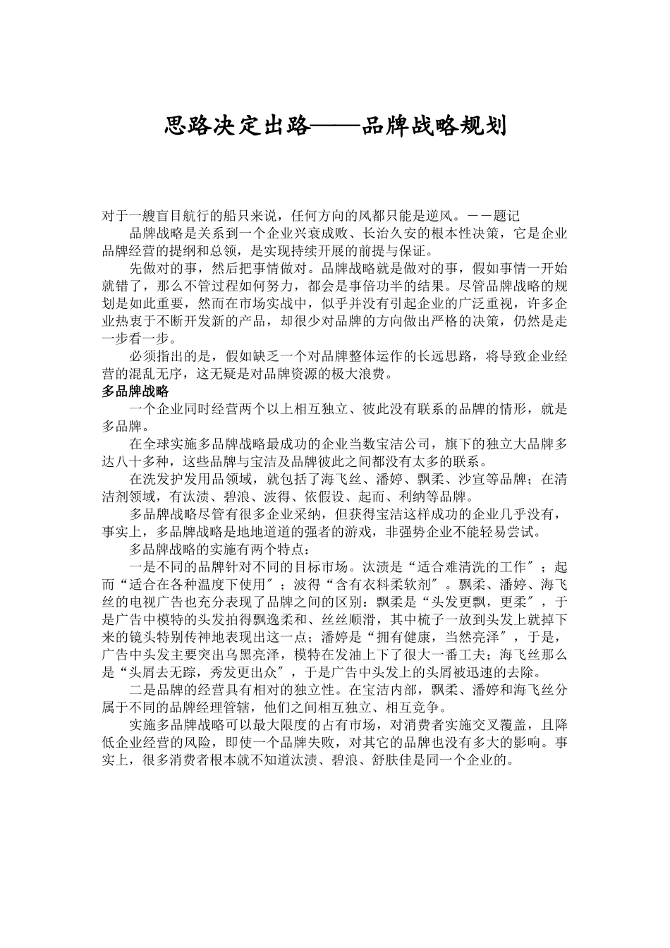 思路决定出路——品牌战略规划_第1页