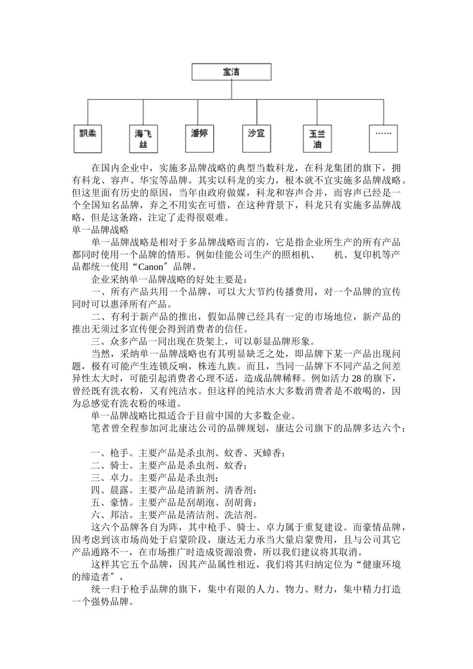 思路决定出路——品牌战略规划_第2页