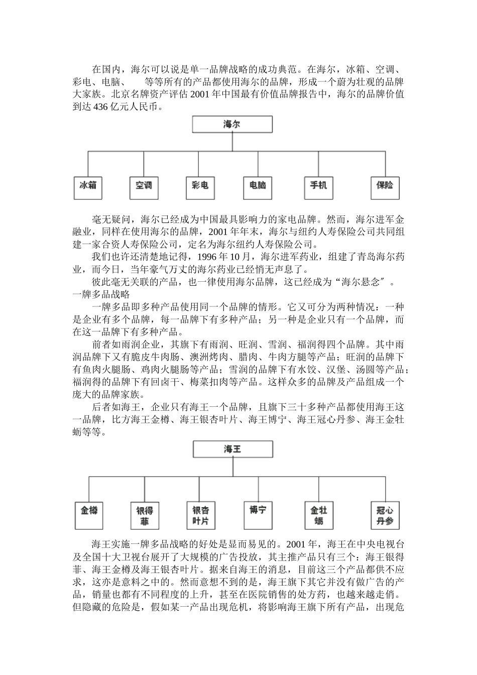 思路决定出路——品牌战略规划_第3页
