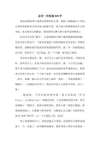 总有一次惊喜800字
