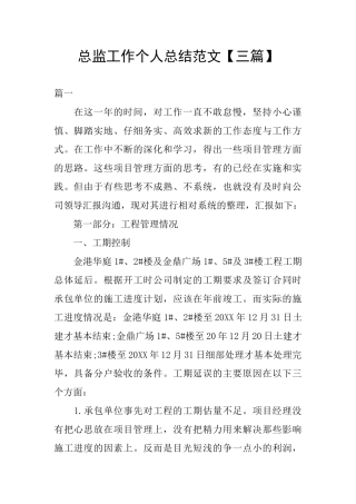 总监工作个人总结范文
