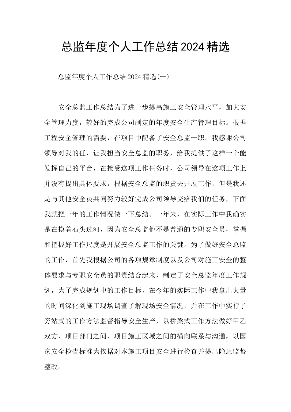 总监年度个人工作总结2024精选_第1页