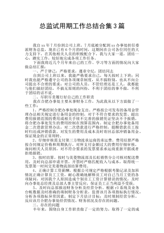 总监试用期工作总结合集3篇