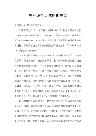 总经理个人试用期总结