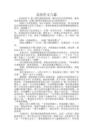 总结作文八篇