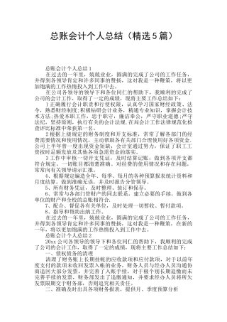 总账会计个人总结