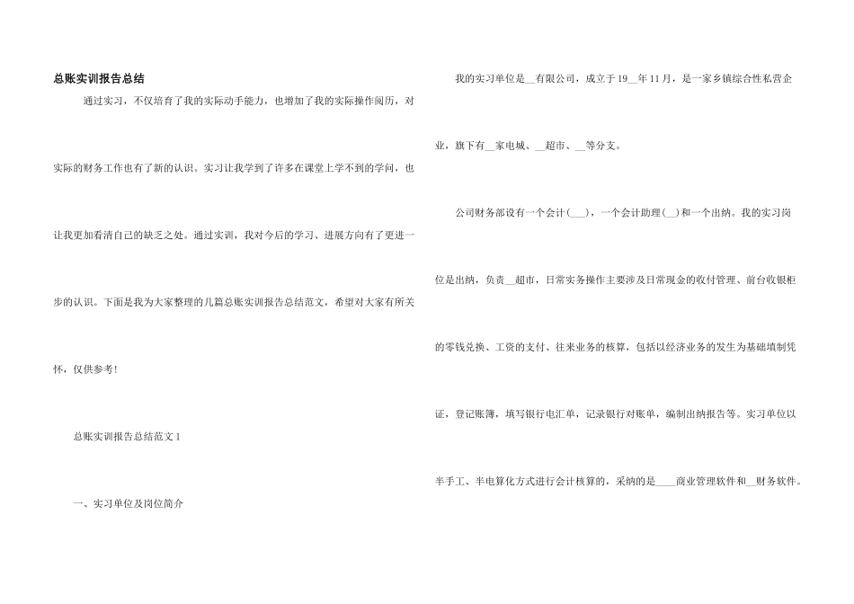 总账实训报告总结_第1页
