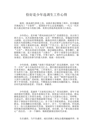 恰好是少年选调生工作心得